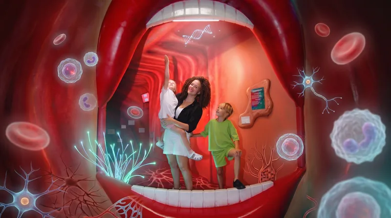 изучи строение тела
через игру